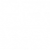 language language