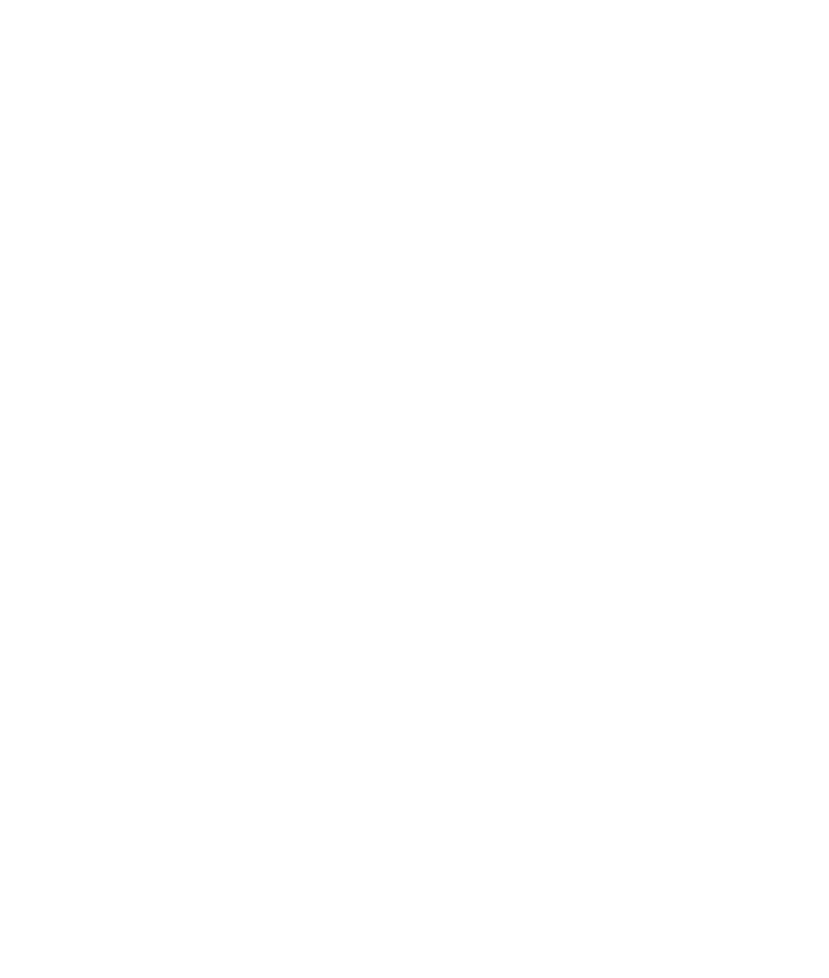 LE Logo V1 DBG